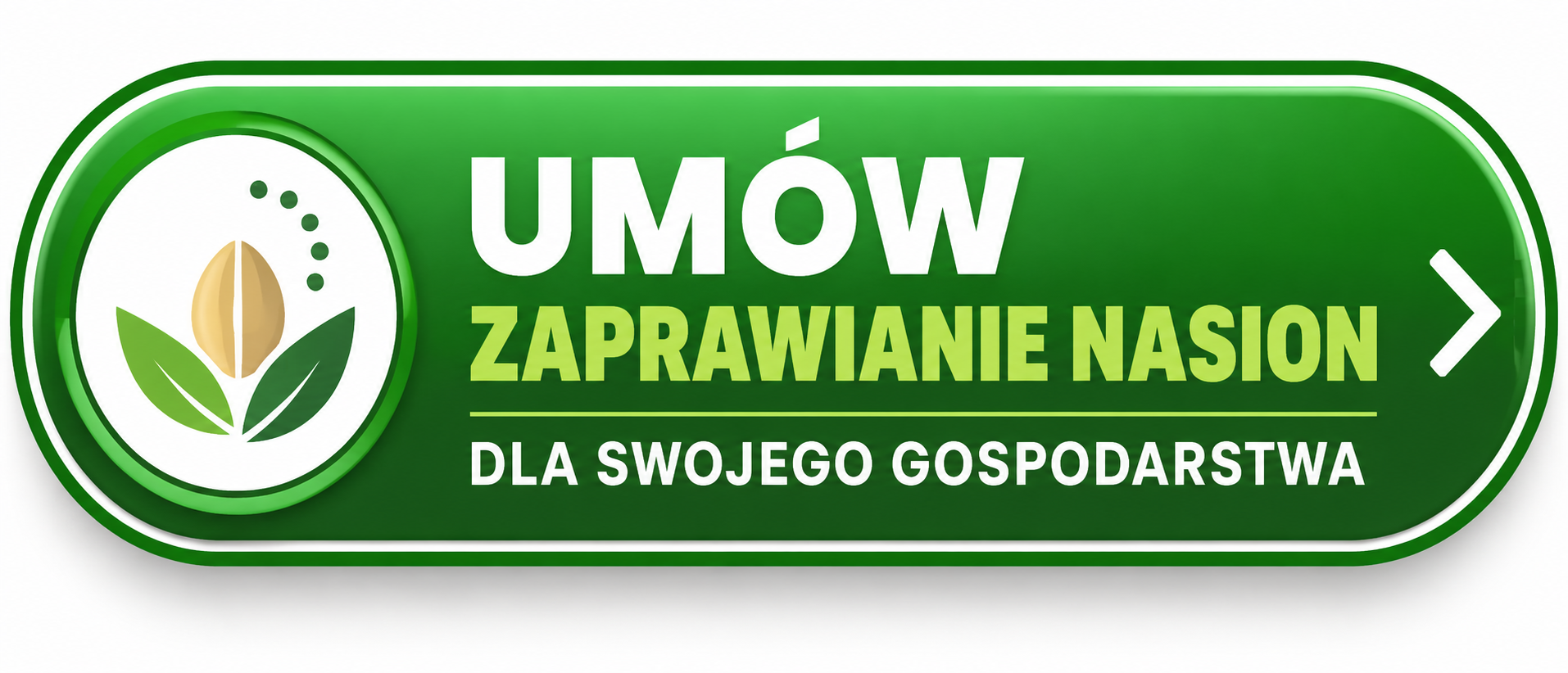 przycisk